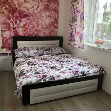 Apartman Na Lukach - Kopretina Třeboň Exteriör bild